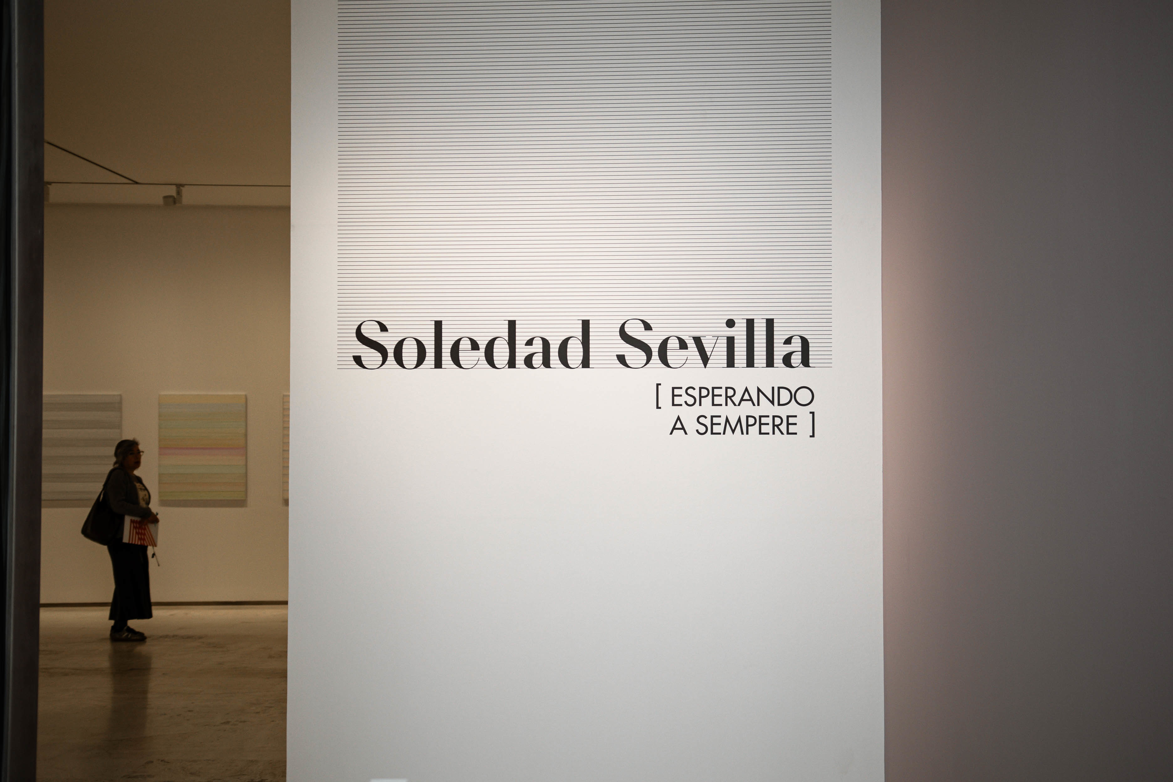 Detalle de la exposición